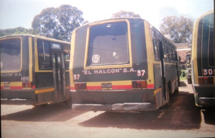 Mercedes-Benz LO1114 - Neocal - El Halcón S.A.
B.1825968
Linea 148 Interno 37
Luneta reformada para este 148 modelo 1982 que lo quisieron aggiornar a la epoca, como muchas unidades que reducieron su luneta trasera tal cual era la moda desde 1984.
[Datos de izquierda a derecha]
