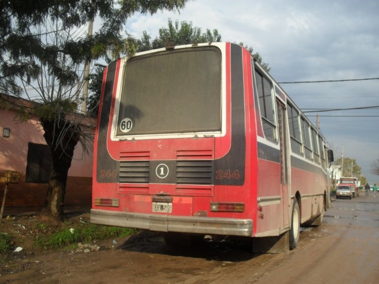 Mercedes-Benz OHL1320 - Splendid - Cooperativa 11 de Mayo
BXV 589
Línea 505 - Interno 1
Unidad ex Línea 181 Internos 244 y 44, y ex ex Linea 109 Interno 36. 
"Cooperativa 11 de Mayo" (roja) que operó la 505 hasta mediados de este año? 
Ya que varias de estas unidades volvieron al playón de la Linea 109, 
quien fue que se los vendió.

http://galeria.bus-america.com/displayimage.php?pos=-27873
http://galeria.bus-america.com/displayimage.php?pos=-27886
http://galeria.bus-america.com/displayimage.php?pid=29830
http://galeria.bus-america.com/displayimage.php?pid=42149
