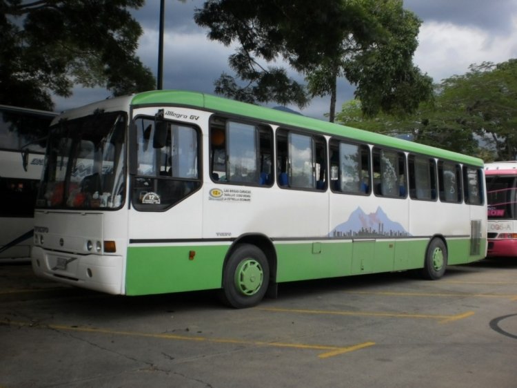 Volvo B7R - Marcopolo Allegro Gv (en Venezuela) - A.C. Mixta Internacional Valles del Tuy 012
30AA05A
Colores de entrega, y se mantiene muy bien cuidado. Operando para un Plan Vacacional.
Palabras clave: Volvo Marcopolo