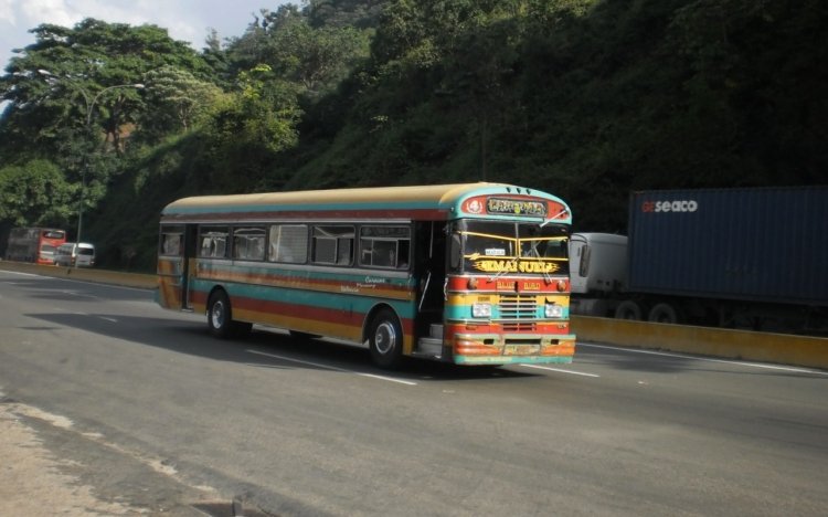 Blue Bird Convencional Integral (en Venezuela) - Cooperativa Canaima 004
En camino a Valencia, por la Autopista Regional del Centro.
Palabras clave: Blue Bird Cummins