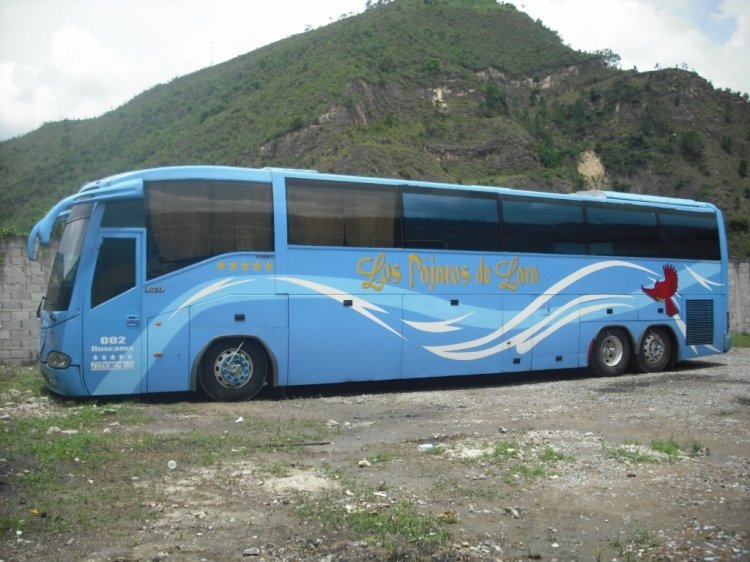 Volvo B10R -  Irizar Century 390 (en Venezuela) - Los Pájaros de Lara (002)
Ex.237 de Expresos Los Llanos. Rutas de la empresa : Caracas - Barquisimeto, Puerto La Cruz - Barquisimeto.
Palabras clave: Irizar Volvo