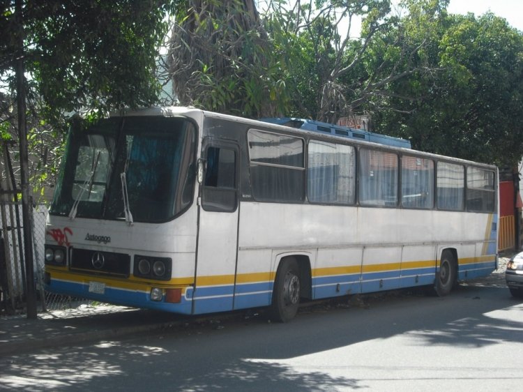 MAN 16.290 - MAN SR280 (ensamblado en Venezuela por Autogago) - Particular 0
T-06355
http://galeria.bus-america.com/displayimage.php?pos=-20051
Modelo ensamblado (Traído en containers desde Europa) bajo licencia por Autogago. Los Logos de Mercedes-Benz como se dice por acá "estarían metiendo la cabra", sin embargo los tiene debido a que el dueño es mecánico de una empresa que trabaja con Mercedes-Benz O302.
Palabras clave: Autogago MAN