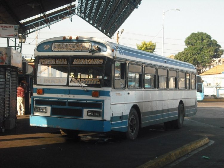 Encava Culebra Ciega - Colectivos Guasare 88
El Culebra Ciega fue el primer modelo ensamblado por Encava luego de independizarse de Blue Bird. Fueron unos pocos los que se hicieron, y fueron hechos con lo último que quedó de las carrocerías Blue Bird, con detalles del E-3100 antes de ser reemplazado por éste. El motor es apodado cariñosamente como el "Dos Cañones" debido a que la mayoría de los buses que lo llevan (Casi todos Blue Bird) tienen dos tubos de escape.
(Venezuela)
Palabras clave: Encava Cummins