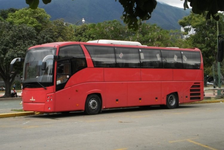 Maz 251 (en Venezuela) - Sitssa 192
Mi primer 251 fotografiado exitosamente. Modelo de Larga Distancia importado por el Gobierno Nacional. Son pocos de éste modelo los que se han visto, por lo que se hace difícil cazarlos. Sitssa es el acrónimo de Sistema Integral de Transporte Superficial S.A.
Palabras clave: Maz Man