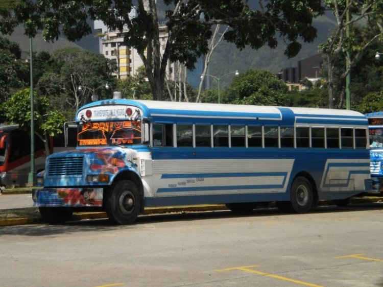Blue Bird Convencional No Integral (en Venezuela) - International 3800 - Transporte Colectivo Palo Negro 78
AE2925.
El Líder - Forever International Love. Operando para un Plan Vacacional. Otra empresa que opera desde el Estado Aragua.
Palabras clave: Blue Bird International