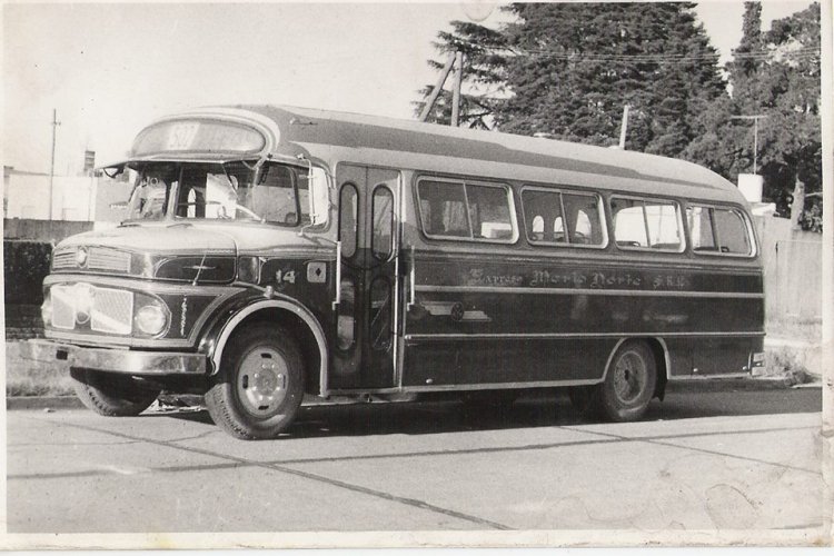 Mercedes-Benz LO 1112 - Biglia - Exp. Merlo Norte
Línea 502 (Pdo.Merlo), interno 14

Fotografía publicada en: grupo facebook 
"Recordando a la 312"
Extraída de: https://www.facebook.com/photo.php?fbid=638194836221335&set=a.389920881048733
.89822.151615351545955&type=1&theater
