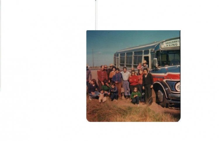 Mercedes-Benz LO 1114 - A.L.A. - Peralta Ramos
