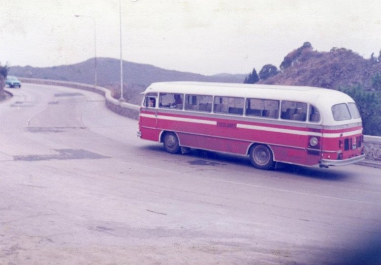 Mercedes-Benz O-321 H (en Argentina) - Escolar
CHANCHITA ALEMANA ESCOLAR

Fotografía extraída del facebook "Vitito Gan"

http://galeria.bus-america.com/displayimage.php?pos=-27513
