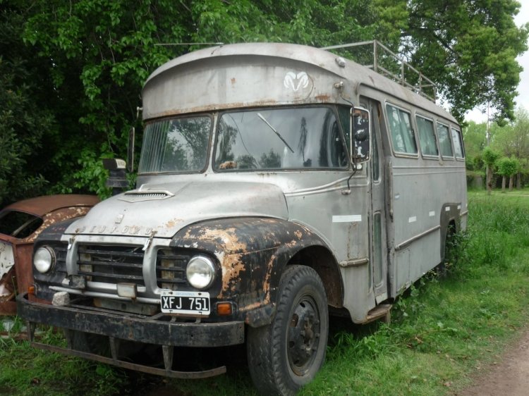 ¿Se vendrá la próxima restauración?, esto es para el que le guste
B 492448 - XFJ 751
Un Bedford Cooperativa San Martín, pocos vistos 

http://galeria.bus-america.com/displayimage.php?pos=-21815
http://galeria.bus-america.com/displayimage.php?pos=-21816
Palabras clave: INDIO 70