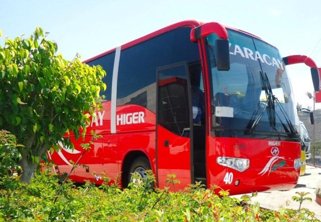 Palabras clave: zaracay 40