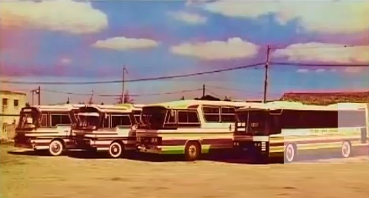 Plusmar - Galarza
Flota de Plusmar en la decada del '80
[Datos de derecha a izquierda]
Palabras clave: P L U S M A R