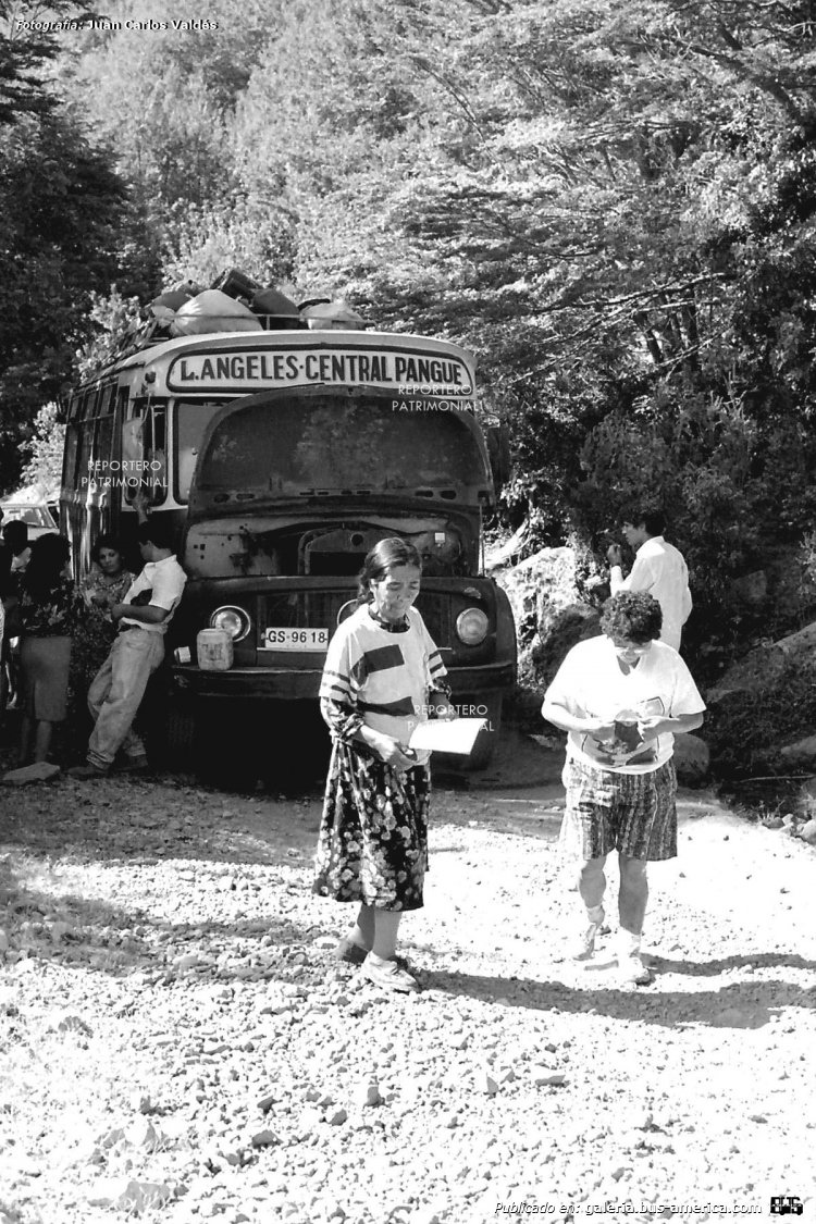Mercedes-Benz LO 1114 - El Detalle (en Chile) - Los Angeles Ctral.Pangue
GS-9618

Fotografía: Juan Carlos Valdéz
Gentileza: Reportero Patrimonial

"Año 1995...Sector Alto Bio Bio, camino a Central Pangue. Uno de los buses de recorrido diario de Los Ángeles a la cordillera, llevando a pobladores de esa zona de Alto Bio Bio.
Agradezco a Juan Carlos Valdés, destacado fotógrafo naturalista, que en sus años de trabajo a fijado con su lente, lugares, personas y vivencias de nuestra provincia. Ha tenido la gentileza, de compartir con nuestra página, una gran variedad de sus fotografías." (Pepe Riquelme Echeverría)
