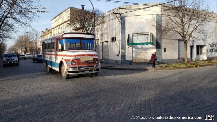 Mercedes-Benz LO 1114 - El Detalle - Transp. Agriello
VHI 292 - ex patente S.387284
[url=https://bus-america.com/galeria/displayimage.php?pid=65267]https://bus-america.com/galeria/displayimage.php?pid=65267[/url]
[url=https://bus-america.com/galeria/displayimage.php?pid=65268]https://bus-america.com/galeria/displayimage.php?pid=65268[/url]
[url=https://bus-america.com/galeria/displayimage.php?pid=65270]https://bus-america.com/galeria/displayimage.php?pid=65270[/url]
[url=https://bus-america.com/galeria/displayimage.php?pid=65271]https://bus-america.com/galeria/displayimage.php?pid=65271[/url]

Línea 1 (Cnel.Pringles), interno 2

Fotógrafo: ¿Rogelio Gómez?
Fotografía: [url=https://www.elorden.com/noticias/2019/08/15/7979-ruben-agriello-parte-de-la-historia-de-nuestra-ciudad]El Orden de Pringles[/url]
