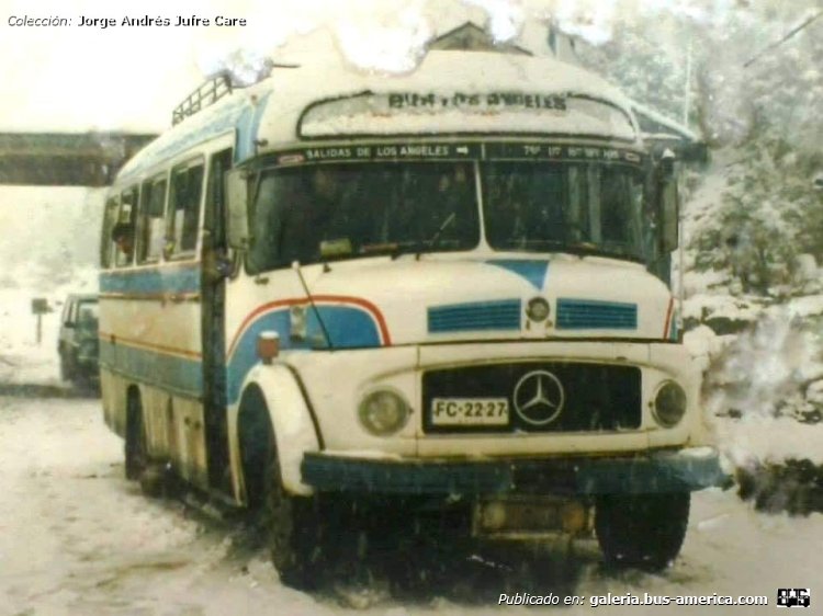 Mercedes-Benz LO 1114 - El Detalle (en Chile) - Buses Jure
FC-2227
[url=https://bus-america.com/galeria/displayimage.php?pid=65844]https://bus-america.com/galeria/displayimage.php?pid=65844[/url]

Fotógrafo: Jure
Colección y gentileza: Jorge Andrés Jure Care
Extraído de. [url=https://www.facebook.com/photo.php?fbid=7820189894692216&set=p.7820189894692216&type=3]Nostalgia Bus Chile[/url], en facebook

"había otra más en los ángeles en esos años creo que hacia el recorrido nacimiento angol." Jorge Andrés Jure Care
