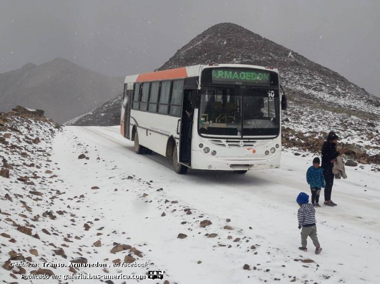 Mercedes-Benz OF 1418 - Metalpar Tronador - Armagedon
ICU 752
[url=https://bus-america.com/galeria/displayimage.php?pid=60154]https://bus-america.com/galeria/displayimage.php?pid=60154[/url]
[url=https://bus-america.com/galeria/displayimage.php?pid=60155]https://bus-america.com/galeria/displayimage.php?pid=60155[/url]
[url=https://bus-america.com/galeria/displayimage.php?pid=60159]https://bus-america.com/galeria/displayimage.php?pid=60159[/url]

Línea 59 (Prov. Jujuy), interno 10

Fotografía y gentileza: Transporte Armagedón
