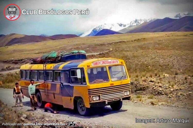 Ford F 600 - Thomas - Condor de Chavin
Fotografía: Arturo Malqui
Extraído de: [url=https://www.facebook.com/photo.php?fbid=896778925787697&set=pb.100063667926379.-2207520000&type=3]Club Busólogos Perú, en facebool[/url]

"Transcendental imagen de la Emp. de Transp. Cóndor de Chavín, nos recuerda a su unidad Thomas – Ford 600 fotografiado en la década del 70, detenido por una revisión técnica, ocurrido en uno de los tantos caminos abruptos que solía recorrer con total lucha y resistencia.

Actualmente extintos, contaban con una agencia por la Av. Nicolás de Piérola – Cercado de Lima y se caracterizaron por ser los pioneros cubriendo la ruta: Lima – Barranca – Chasquitambo – Cátac – Huaraz - Chavín – San Marcos – Huari - Yauya y todo el Callejón de Conchucos en Ancash."
