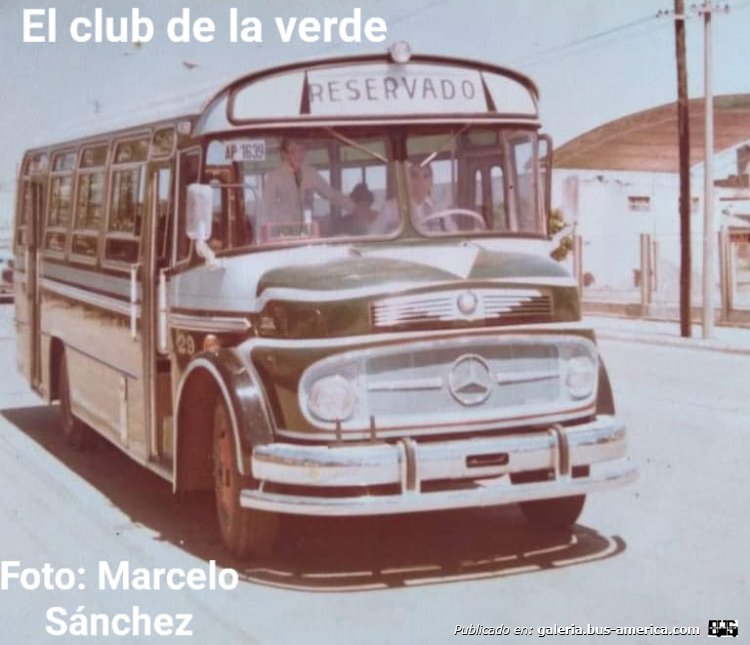 Mercedes-Benz LO 1114 - ALA - Exp.Lomas
C.884672

Líneas 165 & 112 (Buenos Aires), interno 29

Fotografía: Manuel Sanchez
Colección: Marcelo Sanchez
Gentileza: El Club de la Verde, en facebook
