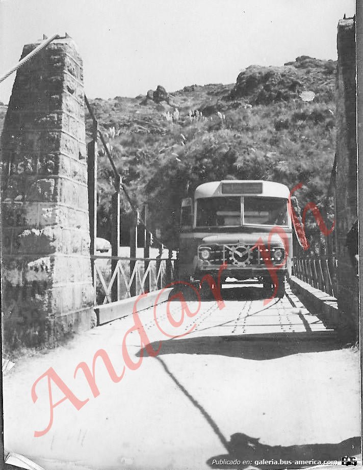 Ford F 500 - Caproni (reformado en Argentina por Andreolli D`Alessandro) - Excursiones El Triángulo
[url=https://bus-america.com/galeria/displayimage.php?pid=58914]https://bus-america.com/galeria/displayimage.php?pid=58914[/url]
[url=https://bus-america.com/galeria/displayimage.php?pid=58915]https://bus-america.com/galeria/displayimage.php?pid=58915[/url]
[url=https://bus-america.com/galeria/displayimage.php?pid=58916]https://bus-america.com/galeria/displayimage.php?pid=58916[/url]
[url=https://bus-america.com/galeria/displayimage.php?pid=58917]https://bus-america.com/galeria/displayimage.php?pid=58917[/url]
[url=https://bus-america.com/galeria/displayimage.php?pid=58918]https://bus-america.com/galeria/displayimage.php?pid=58918[/url]
[url=https://bus-america.com/galeria/displayimage.php?pid=58919]https://bus-america.com/galeria/displayimage.php?pid=58919[/url]
[url=https://bus-america.com/galeria/displayimage.php?pid=58920]https://bus-america.com/galeria/displayimage.php?pid=58920[/url]
[url=https://bus-america.com/galeria/displayimage.php?pid=58921]https://bus-america.com/galeria/displayimage.php?pid=58921[/url]
[url=https://bus-america.com/galeria/displayimage.php?pid=58922]https://bus-america.com/galeria/displayimage.php?pid=58922[/url]
[url=https://bus-america.com/galeria/displayimage.php?pid=58923]https://bus-america.com/galeria/displayimage.php?pid=58923[/url]
