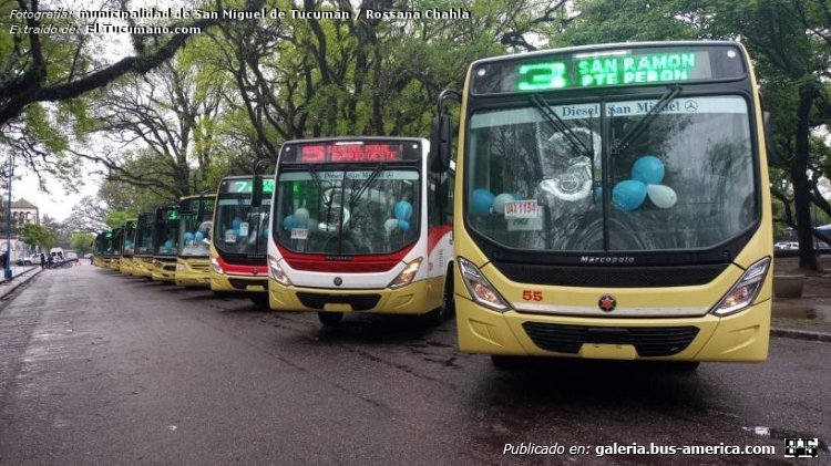 Mercedes-Benz OF 1621 - Marcopolo Novo Torino - Yerba Buena
UAZ-1154 (patente provisoria) [1º]

Línea 3 (S.M.Tucumán), interno 55


[Datos de izquierda a derecha]

Fotografía: ¿El Tucumano.com? ¿Municipalidad de San Miguel de Tucumán?
Extraído de: [url=https://www.eltucumano.com/noticia/actualidad/304045/tres-lineas-de-san-miguel-de-tucuman-presentan-nuevos-colectivos]El Tucumano.com[/url]
