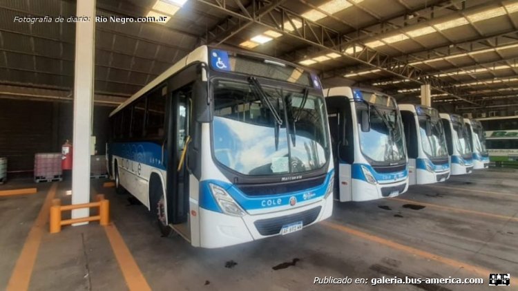 Marcopolo Torino - Cole , KoKo & Exp. Tigre Iguazú
¿AF 601 WV?
[url=https://bus-america.com/galeria/displayimage.php?pid=60334]https://bus-america.com/galeria/displayimage.php?pid=60334[/url]

Cole (Neuquén)

Nuevo sistema de transporte urbano en la ciudad de Neuquén desde el 1 de febrero de 2023

Fotografía: Rio Negro com.ar
