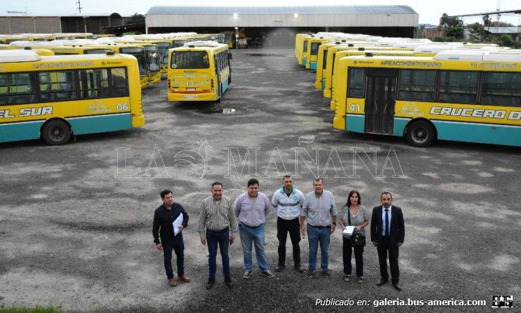 Mercedes-Benz OF 1621 - Metalpar Tronador 2010 - Crucero Del Sur
Crucero Del Sur (Formosa), interno 41 [derecha] & 06 [izquierda]

Fotografía: La Maána On Line .com.ar
