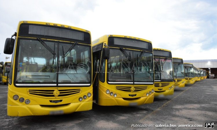 Mercedes-Benz OF 1621 - Metalpar Tronador 2010 - Crucero Del Sur
Crucero Del Sur (Formosa)

Fotografía: La Mañána On Line .com.ar
