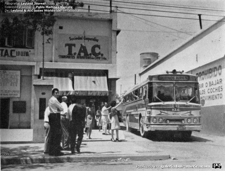 Leyland RT Worldmaster - Cametales - Coop.TAC
[url=https://bus-america.com/galeria/displayimage.php?pid=67955]https://bus-america.com/galeria/displayimage.php?pid=67955[/url]

Fotografía: Revista "Leyland Journal", Junio de 1965.
Colección y gentileza: Pablo Martínez Marcote
Extraído de: [url=https://www.facebook.com/photo?fbid=10233015530154181&set=gm.1880429042397119&idorvanity=1059093234530708]Leyland & AEC Buses Worldwide, en facebook[/url]

"Leyland RT "Worldmaster" equipado con suspensión neumática, de la Cooperativa de Transportes Automotores de Cuyo esperando para partir hacia Buenos Aires, en un viaje que le insumirá recorrer unos 1.100 km.; ésta empresa tenía en su haber una flota de 20 "worldmasters" con carrocería para 40 pasajeros.
Foto: Revista "Leyland Journal", Junio de 1965.

Leyland RT "Worldmaster" equipped with pneumatic suspension, from the Cooperativa de Transportes Automotores de Cuyo waiting to leave for Buenos Aires, on a trip that will take you to travel about 1,100 km; This company had a fleet of 20 "worldmasters" with bodies for 40 passengers.
Photo: "Leyland Journal" Magazine, June 1965."
