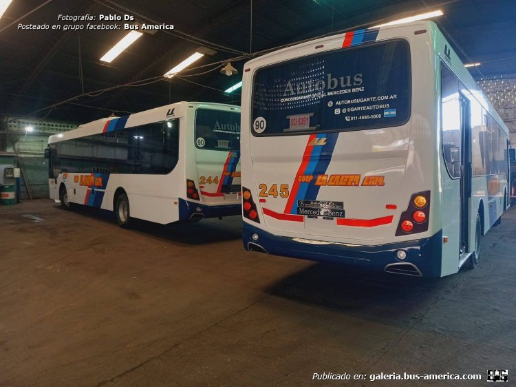 Mercedes-Benz OF 1621 - Ugarte Americano - Coop.La Calera
SCI-5392 (patente provincial) [izquierda]
[url=https://bus-america.com/galeria/displayimage.php?pid=67925]https://bus-america.com/galeria/displayimage.php?pid=67925[/url]
[url=https://bus-america.com/galeria/displayimage.php?pid=67926]https://bus-america.com/galeria/displayimage.php?pid=67926[/url]
[url=https://bus-america.com/galeria/displayimage.php?pid=67928]https://bus-america.com/galeria/displayimage.php?pid=67928[/url]

Coop.La Calera (Prov.Córdoba), interno 244

&

SCI-5392 (patente provincial) [derecha]

Coop.La Calera (Prov.Córdoba), interno 245 [derecha]

Fotografía: Pablo Ds
Posteado en grupo facebook: [url=https://www.facebook.com/plugins/post.php?href=https%3A%2F%2Fwww.facebook.com%2FbusAmerica%2Fposts%2Fpfbid027QudHh4WWxBb7nBqBuvAkFgVgqLVWqnDtadeG1opeo5ULxXLAyBbqe1fdvdRwiFrl]Coop. La Calera[/url]
