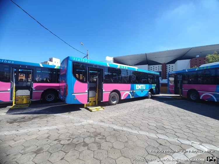 Mercedes-Benz OF 1621 - Italbus Bello - EMTU
EMTU (Santa Rosa), interno sin asignar

Fotógrafo: desconocido
Fotografía extraídad de: Plan B Noticias  .com.ar
