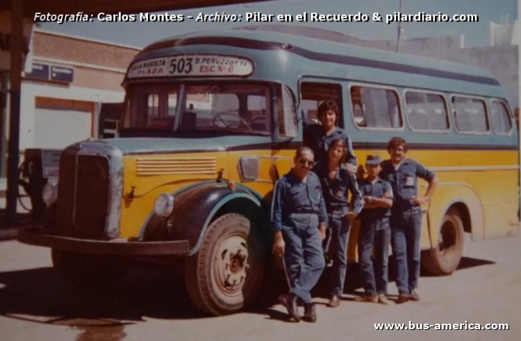 Mercedes-Benz L 312 - Moliterno - Cal Cas
Línea 503 (Pdo.Pilar)

En la fotografía: Carlos Montes
Blog Pilar en el Recuerdo
pilardiario.com
