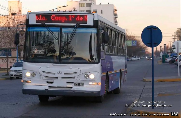 Mercedes-Benz OF 1418 - La Favorita - Coop. 1º de Septiembre
JCD 810

Línea (Gral.Roca)

Fotógrafo: indeterminado de momento
Fotografía extraída de: [url=https://lasuperdigital.com.ar/2024/03/17/habra-cambios-en-los-recorridos-y-los-horarios-de-colectivos-en-roca/]Super Digital .com.ar[/url]
