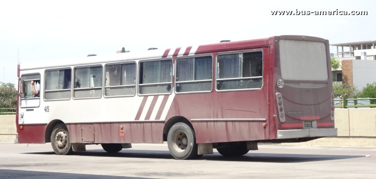 Mercedes-Benz OF 1418 - La Favorita - Transfermar
KKM 009
[url=https://bus-america.com/galeria/displayimage.php?pid=68568]https://bus-america.com/galeria/displayimage.php?pid=68568[/url]
[url=https://bus-america.com/galeria/displayimage.php?pid=68569]https://bus-america.com/galeria/displayimage.php?pid=68569[/url]
[url=https://bus-america.com/galeria/displayimage.php?pid=68570]https://bus-america.com/galeria/displayimage.php?pid=68570[/url]
[url=https://bus-america.com/galeria/displayimage.php?pid=68572]https://bus-america.com/galeria/displayimage.php?pid=68572[/url]

Transfermar (Prov.Sgo. del Estero), interno 45
