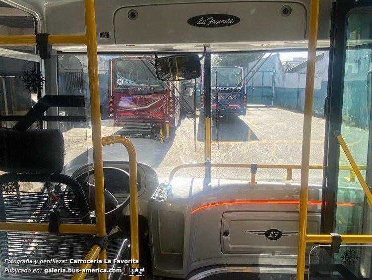 Mercedes-Benz OH 1621 L SB - La Favorita Favorito GR - EMG
[url=https://bus-america.com/galeria/displayimage.php?pid=51742]https://bus-america.com/galeria/displayimage.php?pid=51742[/url]
[url=https://bus-america.com/galeria/displayimage.php?pid=51743]https://bus-america.com/galeria/displayimage.php?pid=51743[/url]
[url=https://bus-america.com/galeria/displayimage.php?pid=51744]https://bus-america.com/galeria/displayimage.php?pid=51744[/url]

Líneas 245 & 394 (Prov. Buenos Aires)

Fotografía y gentileza de: Carrocerías La Favorita

(Vista interior de la unidad)
