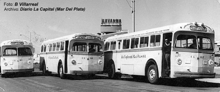 Leyland Royal Tiger - Saunders Roe (en Argentina) - Explanada
Línea 12 (Mar del Plata), internos 14, 19 y 5

Fotografía: Jorge Redonde
Extraído de: Fotos de Familia - Diario La Capital
Fuente: https://www.lacapitalmdp.com/contenidos/fotosfamilia/fotos/3222
Palabras clave: Tom / MDQ