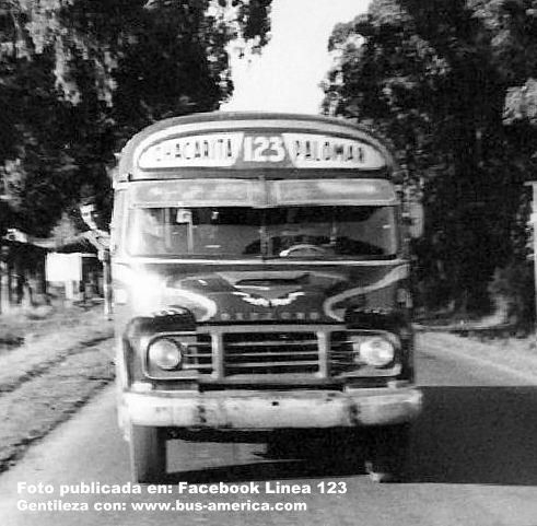 Bedford - Serra - Linea 123
Fotografía gentileza de la Linea 123, tomada de su sitio en Facebook
Palabras clave: Tom / 123