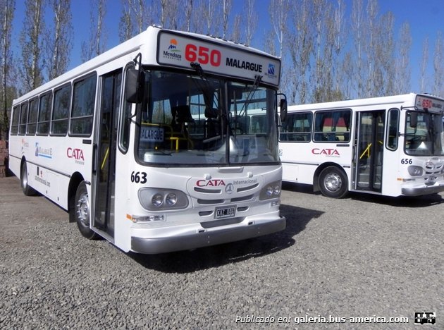 Mercedes-Benz OF 1418 - La Favorita - CATA
KAZ 446

Línea 650 (Malargüe), interno 663

Fotógrafo: ¿?
Fotografía: Municipio de Malargüe
