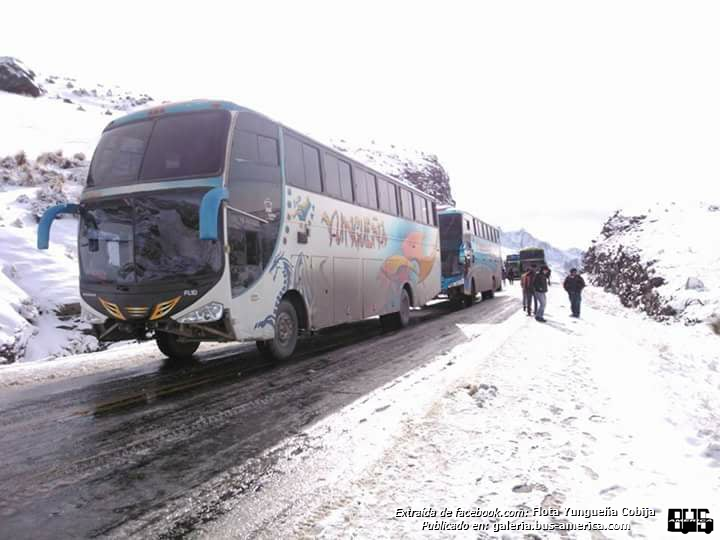 Volvo FL10 - Yungueña
Fotografo: desconocido
Fotografía: Flota Yungueña (Cobija), en facebook
