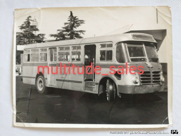 Berliet Bus (en Argentina) - TBA
Línea 171 (Buenos Aires), interno 3911

Fotógrafo: desconocido
Fotografía: Laboratorio Fotográfico - División Servicios Generales - Transportes de Buenos Aires - Empresa Nacional de Transportes
Posteada para la venta por usuario: Multitude Sales
Extraida de: ebay.com
