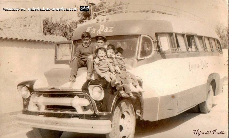 Chevrolet Viking 5500 - La Unica - Exp. La Paz
[url=http://galeria.bus-america.com/displayimage.php?pid=44813]http://galeria.bus-america.com/displayimage.php?pid=44813[/url]

Fotograía: Ramón Molfa y familia
