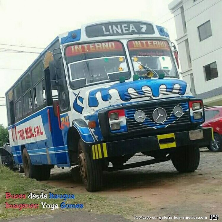 Mercedes-Benz L 1113 - Cano - Trío Real
Fotografía: Yoya Gómez
Gentileza: Luis Mereles
Extraído de: Buses desde Itaguá, en facebook.com

Línea 7 (Mariano Roque Alonso), unidad 24
Línea 6 (Asunción), unidad 26
