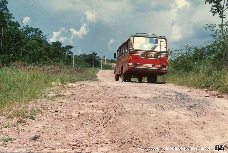 Mercedes-Benz L 1113 - Santa Ana
E-34737
http://galeria.bus-america.com/displayimage.php?pid=36238

Fotografo: ¿?
Extraída de facebook de empresa Santa Ana S.R.L. 
