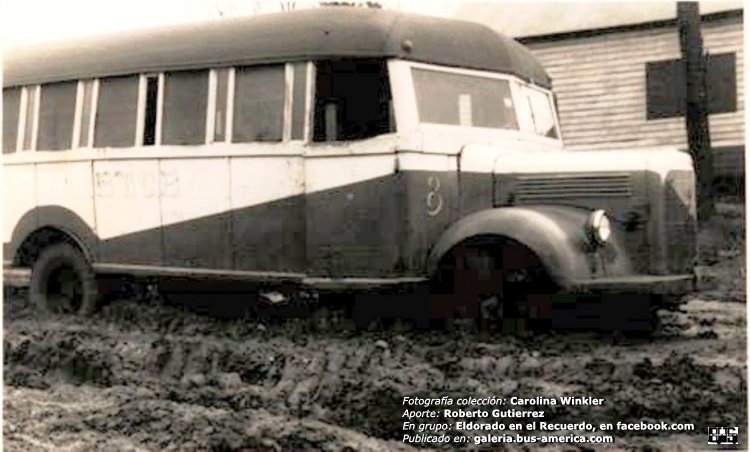 Mercedes-Benz L 312 - Tilo Diesel - ETCE
http://galeria.bus-america.com/displayimage.php?pid=38959
http://galeria.bus-america.com/displayimage.php?pid=38960

Archivo: Carolina Winkler
Aporte: Roberto Gutierrez
Extraído de: Eldorado en el Recuerdo, en facebook.com 
