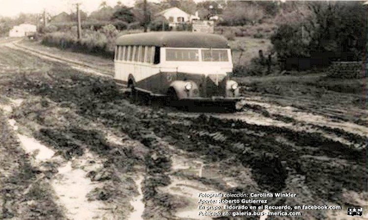 Mercedes-Benz L 312 - Tilo Diesel - ETCE
http://galeria.bus-america.com/displayimage.php?pid=38958
http://galeria.bus-america.com/displayimage.php?pid=38960

Archivo: Carolina Winkler
Aporte: Roberto Gutierrez
Extraído de: Eldorado en el Recuerdo, en facebook.com 
