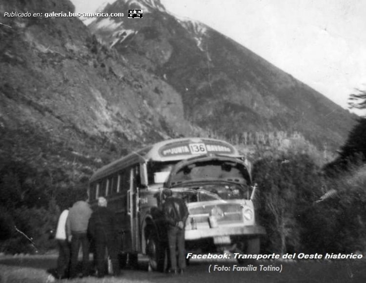 Mercedes-Benz LO 1112 - Alcorta - Transp. Del Oeste
[url=https://galeria.bus-america.com/displayimage.php?pid=47151]https://galeria.bus-america.com/displayimage.php?pid=47151[/url]

Línea 136 (Prov. Buenos Aires), interno 244

Fotografía: familia Totino
Extraído de: Transporte del Oeste Histórico, en facebook
