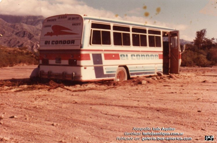 Mercedes-Benz OC 1214 - Supercar - El Cóndor
B.1626768
[url=http://galeria.bus-america.com/displayimage.php?pid=45087]http://galeria.bus-america.com/displayimage.php?pid=45087[/url]
[url=http://galeria.bus-america.com/displayimage.php?pid=45088]http://galeria.bus-america.com/displayimage.php?pid=45088[/url]

El Condor (Prov. La Rioja), interno 3

Fotografía: Luis Aquino
Extraído y gentileza: www.lariojaantigua.com.ar

"Empresa El Cóndor llegando a Huaco por antigua RN 75, varado en las arenas del río crecido la noche anterior. Años 80." (La Rioja Antigua)
