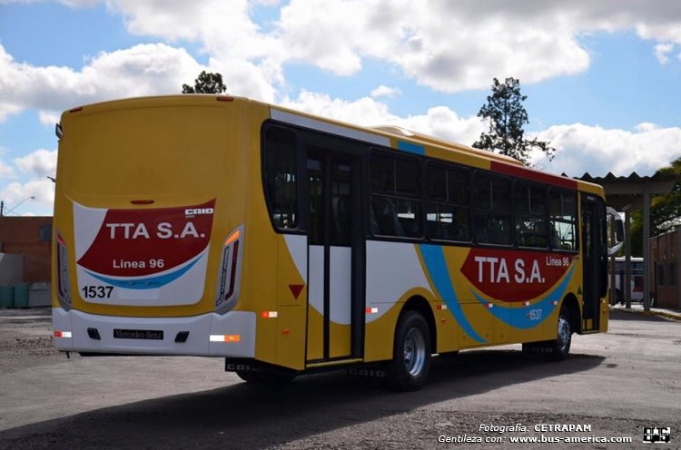 Mercedes-Benz OF 1722 - CAIO Apache Vip (para Paraguay) - TTA
[url=http://galeria.bus-america.com/displayimage.php?pid=42735]http://galeria.bus-america.com/displayimage.php?pid=42735[/url]
[url=http://galeria.bus-america.com/displayimage.php?pid=42737]http://galeria.bus-america.com/displayimage.php?pid=42737[/url]

Línea 96 (Asunción area metropolitana) , unidad 1537

Fotografía y gentileza: C.E.TRA.P.A.M (Centro de Empresarios del Transporte de Pasajeros del Area metropolitana)
