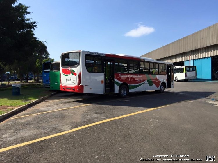 Mercedes-Benz OF 1722 - CAIO Apache Vip (para Paraguay) - Natividad de la Virgen María
Línea 85 (Asunción area metropolitana) , unidad 02

Fotografía y gentileza: C.E.TRA.P.A.M (Centro de Empresarios del Transporte de Pasajeros del Area metropolitana
