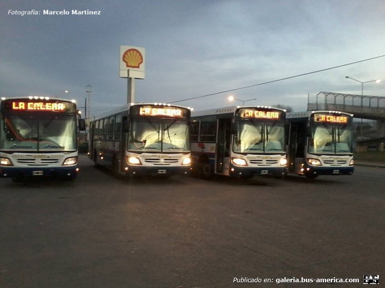 Mercedes-Benz OF 1722 - Italbus Bello - Coop. La Calera
[url=https://galeria.bus-america.com/displayimage.php?pid=36804]https://galeria.bus-america.com/displayimage.php?pid=36804[/url]

Coop. La Calera (Prov. Córdoba)

Fotografía: Marcelo Martinez
