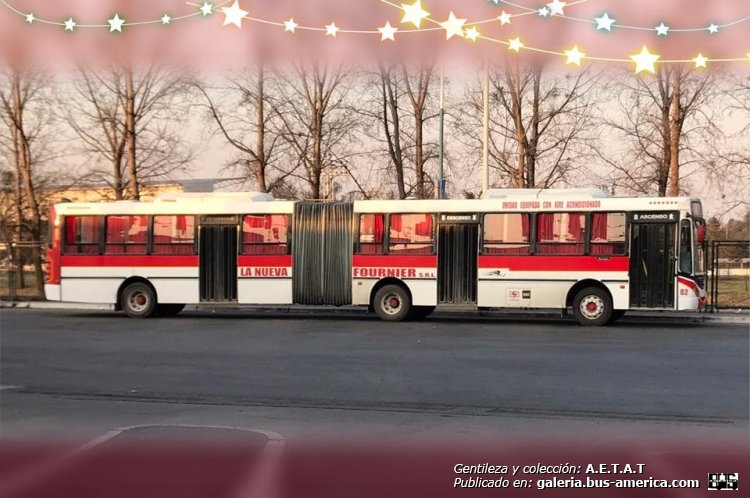 Mercedes-Benz OF 1519 - Metalpar Tronador 2010 - Agua Dulce
Fotografo: desconocido
Gentileza y colección: A.E.T.A.T.
Extraído de: A.E.T.A.T , en facebook.com
