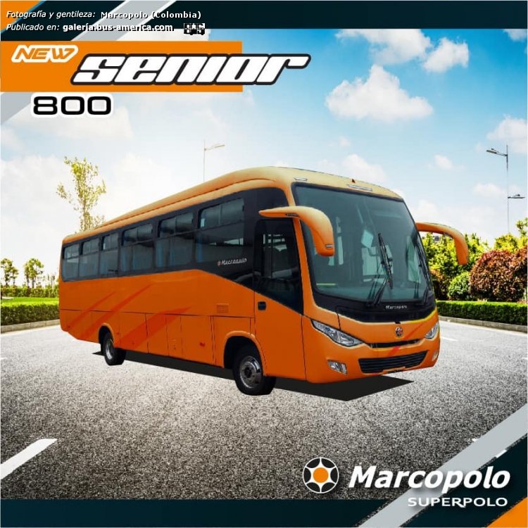 Marcopolo New Senior 800
[url=https://bus-america.com/galeria/displayimage.php?pid=48200]https://bus-america.com/galeria/displayimage.php?pid=48200[/url]
[url=https://bus-america.com/galeria/displayimage.php?pid=48201]https://bus-america.com/galeria/displayimage.php?pid=48201[/url]

Fotografía de carrocerías: Marcopolo (de Colombia)
